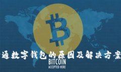 未开通数字钱包的原因及解决方案分析