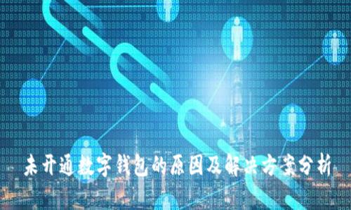 未开通数字钱包的原因及解决方案分析