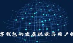 福建数字钱包的发展现状与用户收益分析