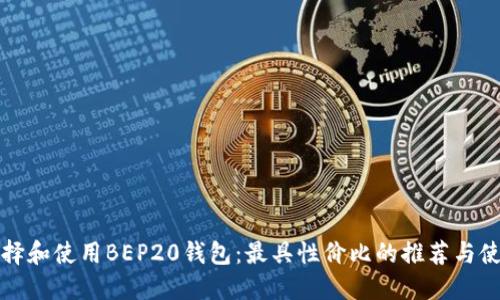 如何选择和使用BEP20钱包：最具性价比的推荐与使用指南