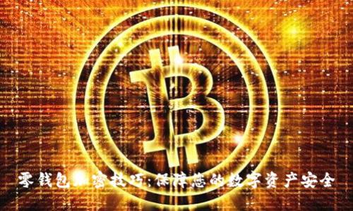 零钱包加密技巧：保障您的数字资产安全