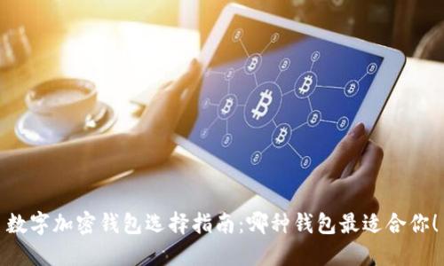 数字加密钱包选择指南：哪种钱包最适合你！