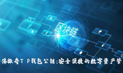 : 探秘佛撒奇T P钱包公链：安全便捷的数字资产管理之道