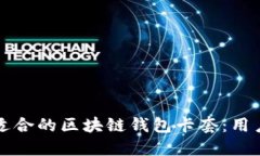 如何选择适合的区块链钱包卡套：用户必备指南