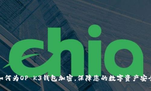 如何为OP K3钱包加密，保障您的数字资产安全