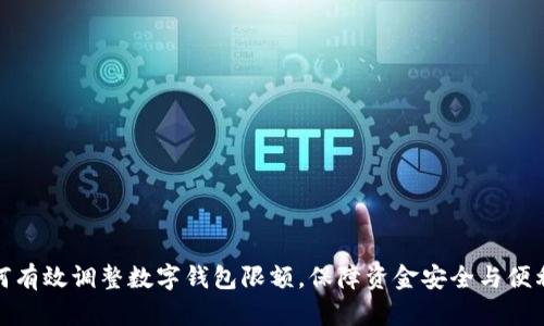 如何有效调整数字钱包限额，保障资金安全与便利性