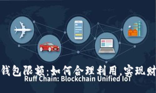 数字钱包二类钱包限额：如何合理利用，实现财务管理最大化