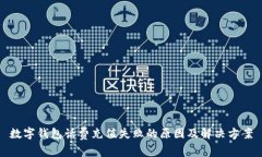 数字钱包话费充值失败的原因及解决方案