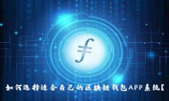 如何选择适合自己的区块链钱包APP系统？