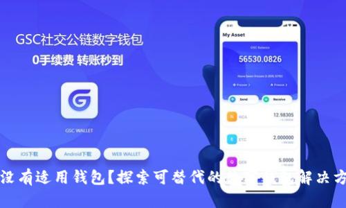 TP没有适用钱包？探索可替代的数字钱包解决方案
