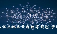 如何在无试点地区开通数字钱包：步骤与建议