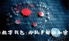区块链入门与数字钱包：为新手解锁加密世界的