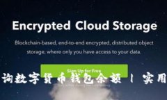 如何高效查询数字货币钱包余额 | 实用指南与技