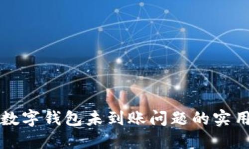 解决数字钱包未到账问题的实用指南