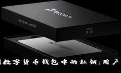 如何识别数字货币钱包中的私钥：用户必备指南