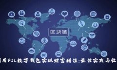 如何利用FIL数字钱包实现财富增值：最佳实践与