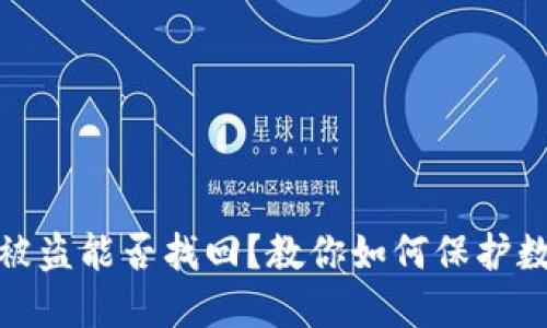 TP钱包授权被盗能否找回?教你如何保护数字资产安全