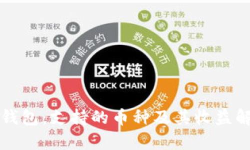 TP钱包:支持的币种及其收益解析