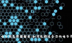 数字电子钱包限额解析：如何选择适合你的电子
