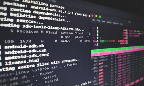 TP钱包怎么没有泰达钱包?全面解析与解决方案