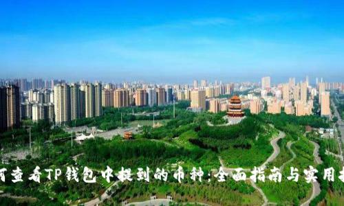 如何查看TP钱包中提到的币种：全面指南与实用技巧