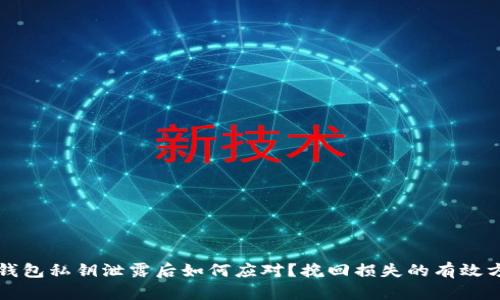 TP钱包私钥泄露后如何应对？挽回损失的有效方法