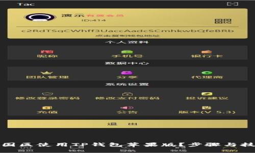 如何在国区使用TP钱包苹果版?步骤与技巧详解