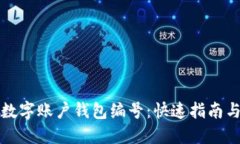 如何查询数字账户钱包编号：快速指南与用户技