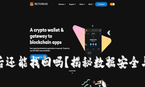 TP钱包被盗立案后还能找回吗?揭秘数据安全与资产保护的关键