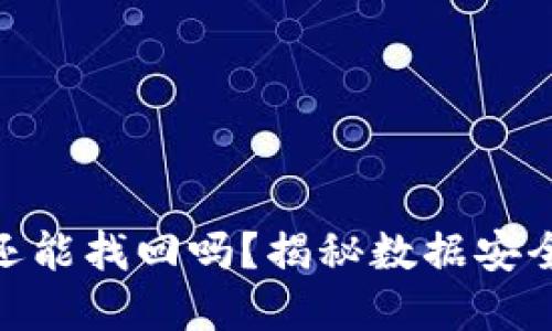 TP钱包被盗立案后还能找回吗?揭秘数据安全与资产保护的关键