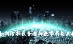 银行数字钱包的未来：如何选择最合适的数字钱