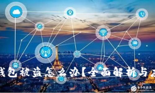 最近TP钱包被盗怎么办？全面解析与应对措施