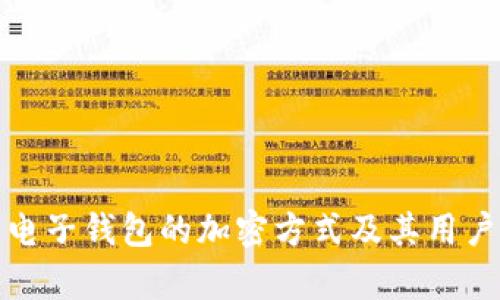 全面解析电子钱包的加密方式及其用户安全价值