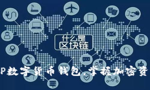 轻松下载DECP数字货币钱包，掌握加密资产管理新方式