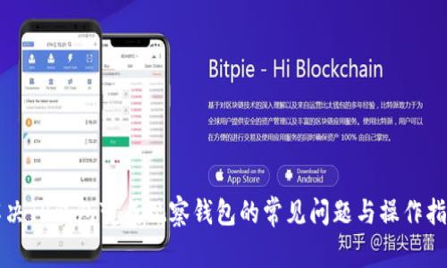 解决TP钱包变成观察钱包的常见问题与操作指南