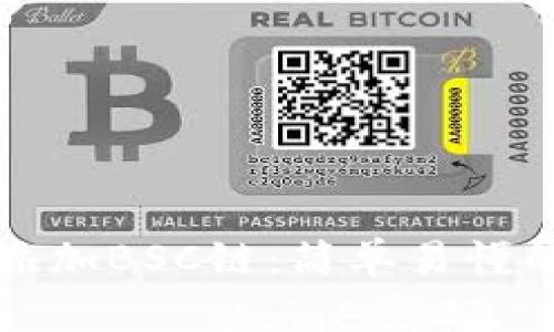 如何在TP钱包中添加BSC链：简单易懂的指南与用户收益