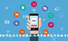 区块链钱包大小区别解析：选择合适钱包的策略