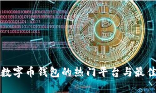 探索数字币钱包的热门平台与最佳玩法