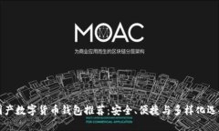 国产数字货币钱包推荐：安全、便捷与多样化选