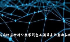 如何有效应对对公数字钱包关闭带来的影响和机
