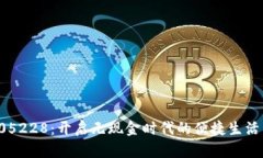 数字钱包005228：开启无现金时代的便捷生活与安