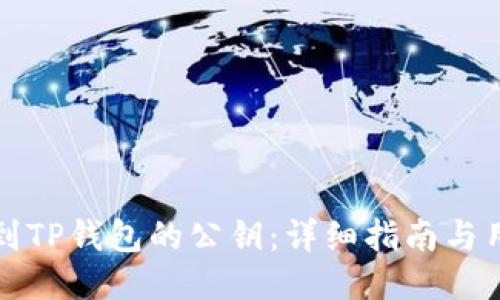 如何找到TP钱包的公钥：详细指南与用户技巧