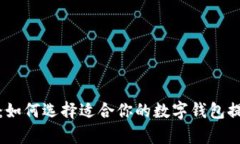 数字钱包的网络：如何选择适合你的数字钱包提