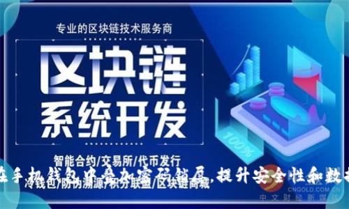 如何在手机钱包中叠加密码锁屏,提升安全性和数据保护