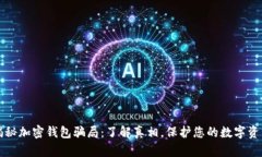 揭秘加密钱包骗局：了解真相，保护您的数字资