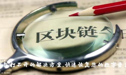 : TP钱包打不开的解决方案，快速恢复您的数字资产安全