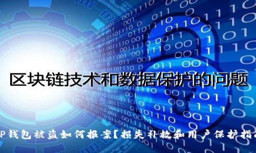 TP钱包被盗如何报案？损失补救和用户保护指南