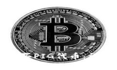 如何在TP钱包中购买PIG代币：详细指南与用户收益
