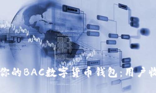 如何选择适合你的BAC数字货币钱包：用户收益与价值指南