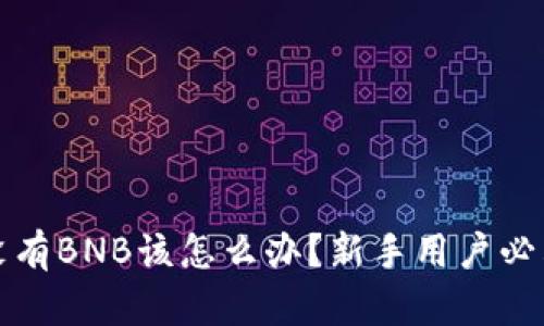 TP钱包里没有BNB该怎么办？新手用户必看操作指南